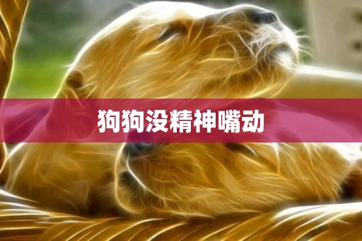 狗狗沒精神嘴動