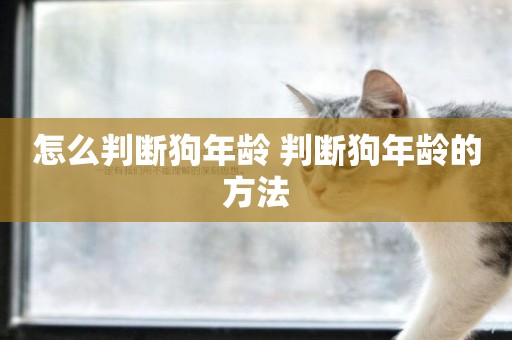 怎么判斷狗年齡 判斷狗年齡的方法