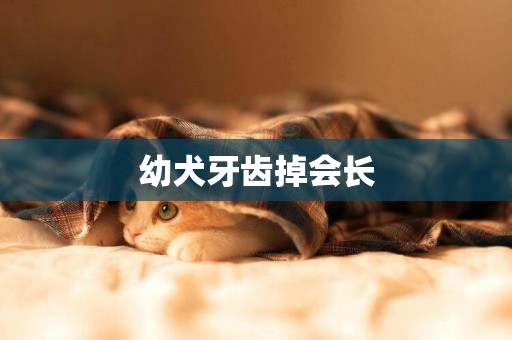 幼犬牙齒掉會長