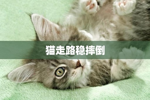 貓走路穩摔倒