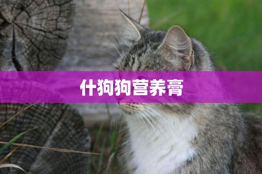 什狗狗營養膏