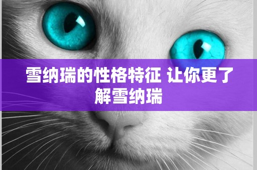雪納瑞的性格特征 讓你更了解雪納瑞