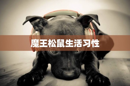 魔王松鼠生活習性