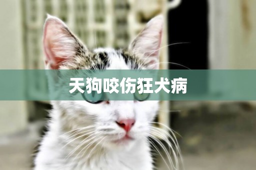天狗咬傷狂犬病