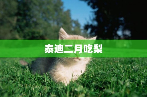 泰迪二月吃梨
