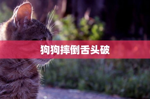 狗狗摔倒舌頭破