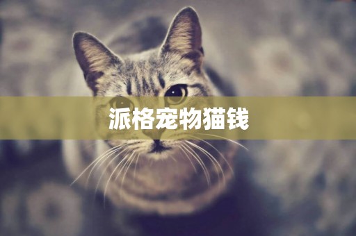 派格寵物貓錢