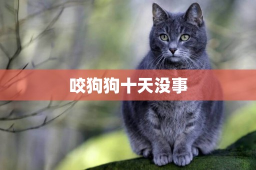 咬狗狗十天沒事