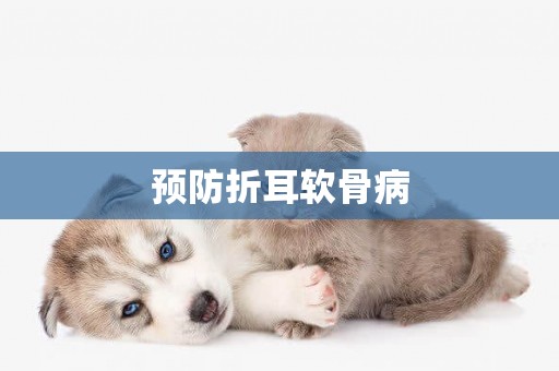 預防折耳軟骨病