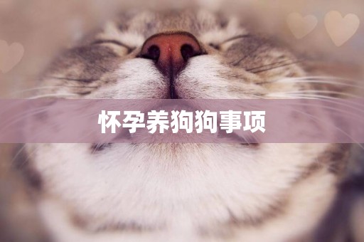 懷孕養狗狗事項