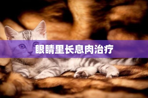 眼睛里長息肉治療