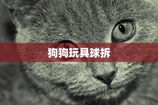 狗狗玩具球拆