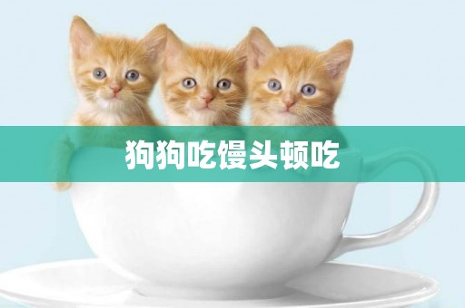 狗狗吃饅頭頓吃
