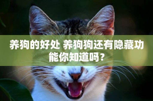 養狗的好處 養狗狗還有隱藏功能你知道嗎？