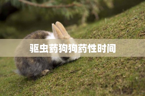驅蟲藥狗狗藥性時間