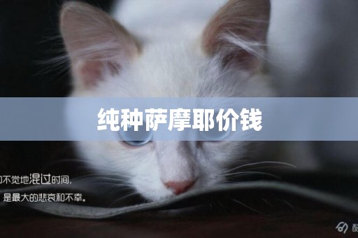 純種薩摩耶價錢
