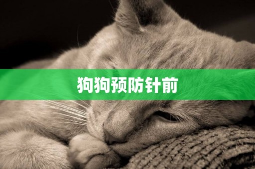 狗狗預防針前