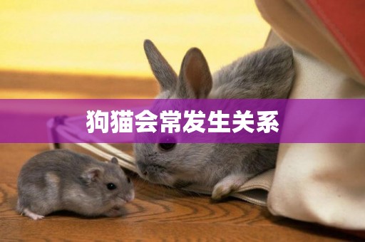 狗貓會常發生關系
