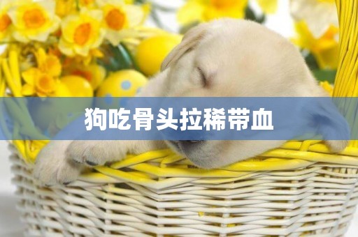 狗吃骨頭拉稀帶血