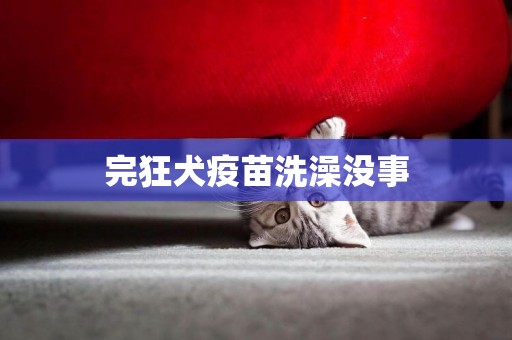 完狂犬疫苗洗澡沒事