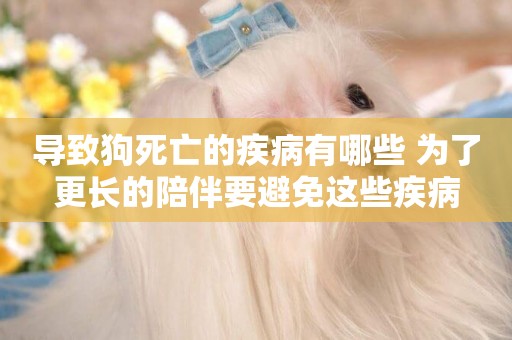 導致狗死亡的疾病有哪些 為了更長的陪伴要避免這些疾病