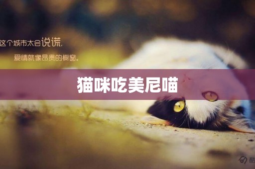 貓咪吃美尼喵