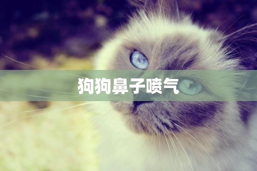 狗狗鼻子噴氣