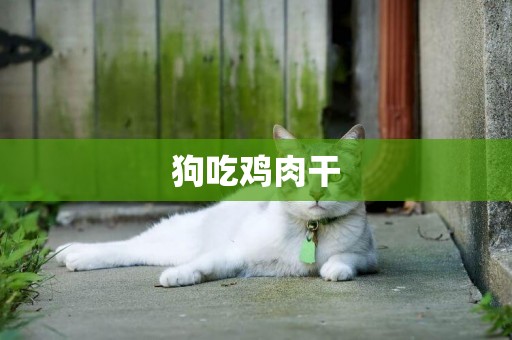 狗吃雞肉干