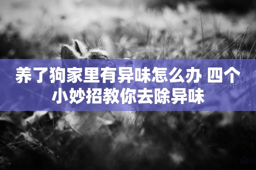 養了狗家里有異味怎么辦 四個小妙招教你去除異味