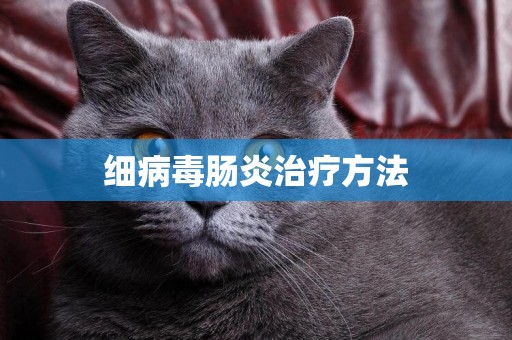 細病毒腸炎治療方法