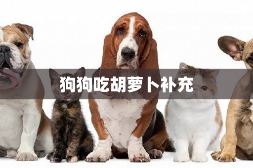 狗狗吃胡蘿卜補充