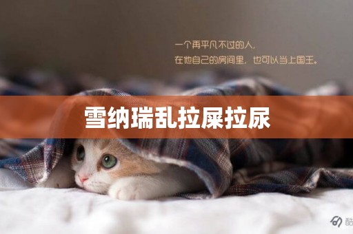 雪納瑞亂拉屎拉尿