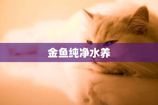 金魚純凈水養