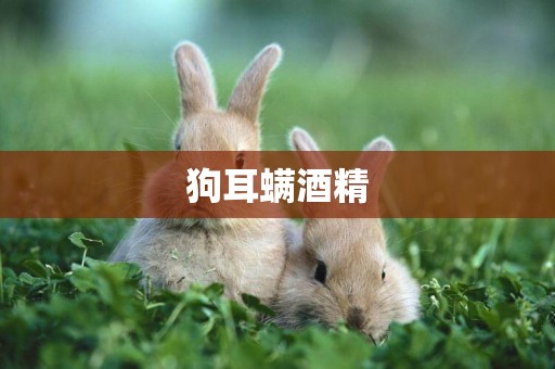 狗耳螨酒精