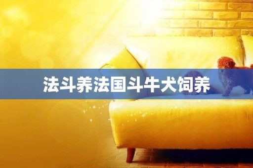 法斗養法國斗牛犬飼養