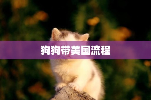 狗狗帶美國流程
