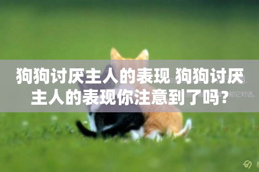 狗狗討厭主人的表現 狗狗討厭主人的表現你注意到了嗎？