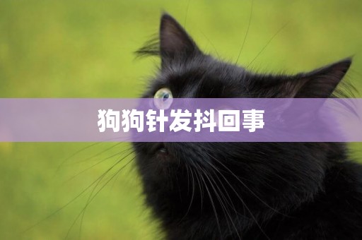 狗狗針發抖回事