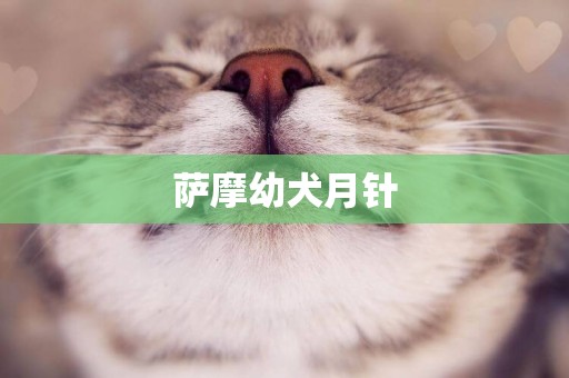 薩摩幼犬月針