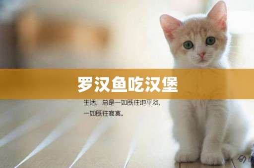 羅漢魚吃漢堡