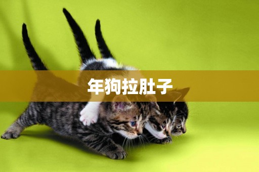 年狗拉肚子