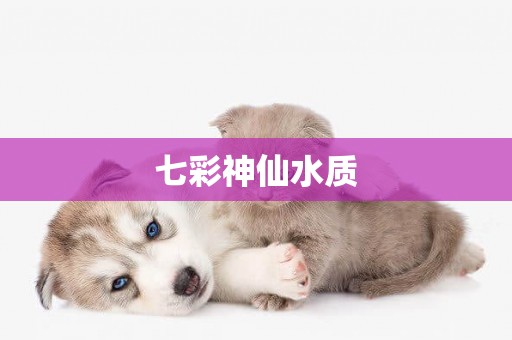 七彩神仙水質
