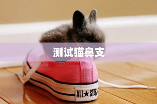 測試貓鼻支