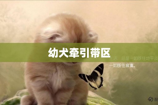 幼犬牽引帶區