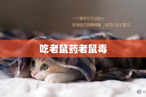 吃老鼠藥老鼠毒