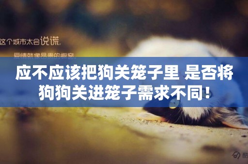 應不應該把狗關籠子里 是否將狗狗關進籠子需求不同！