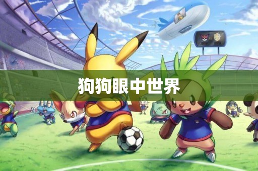 狗狗眼中世界