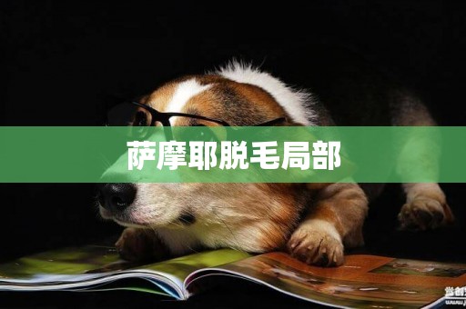 薩摩耶脫毛局部