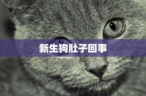 新生狗肚子回事
