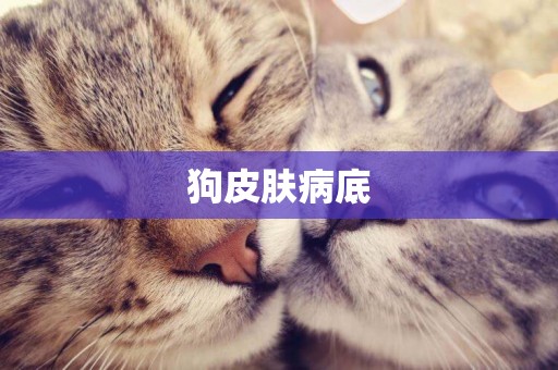 狗皮膚病底